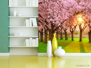 Фотошпалери Квітучі вишні - 3