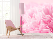 Фотошпалери Рожеві пелюстки - 4