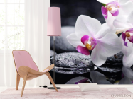 Фотошпалери Білі й чорні орхідеї - 4