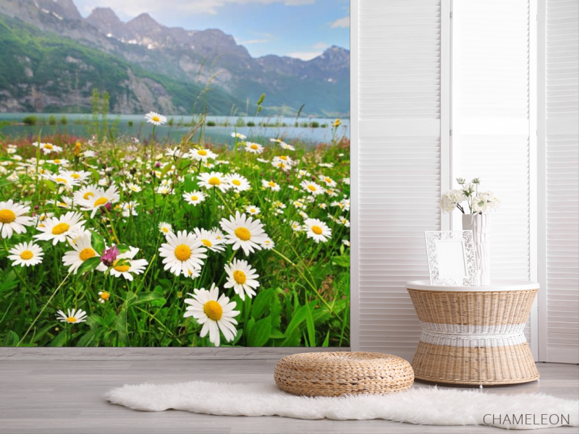 Фотошпалери ромашки і гори - 2