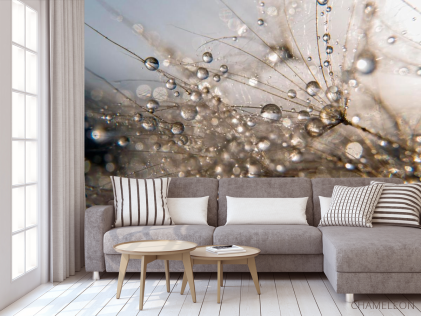 Фотообои Роса - 3