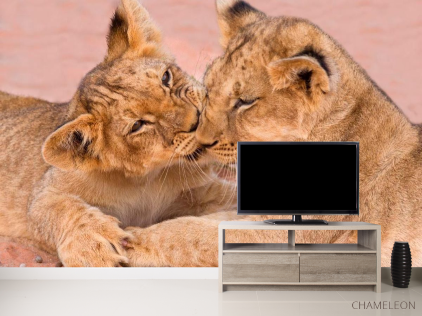 Фотообои Игра тигрят - 2