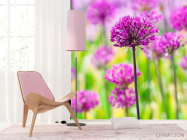 Фотошпалери Фіолетові польові квіти - 4