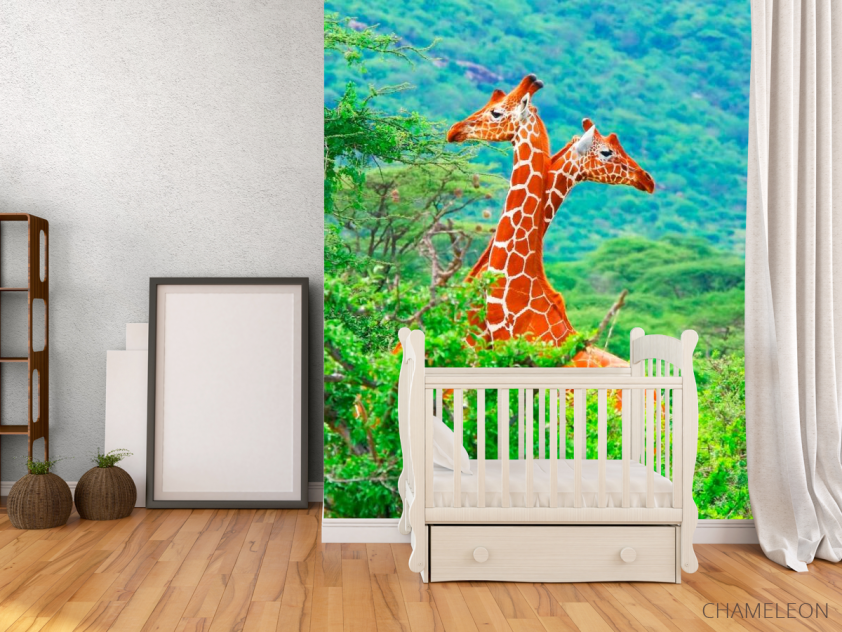 Фотообои Жирафы среди деревьев - 2