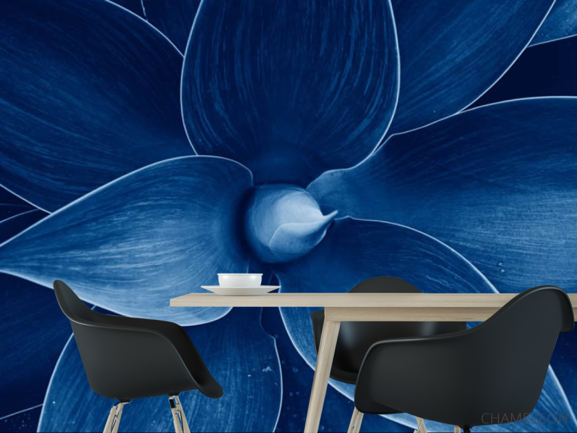 Фотошпалери синій квітка - 1