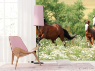 Фотошпалери Коні на лузі - 4