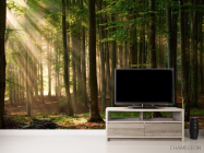 Фотообои Деревья - 2