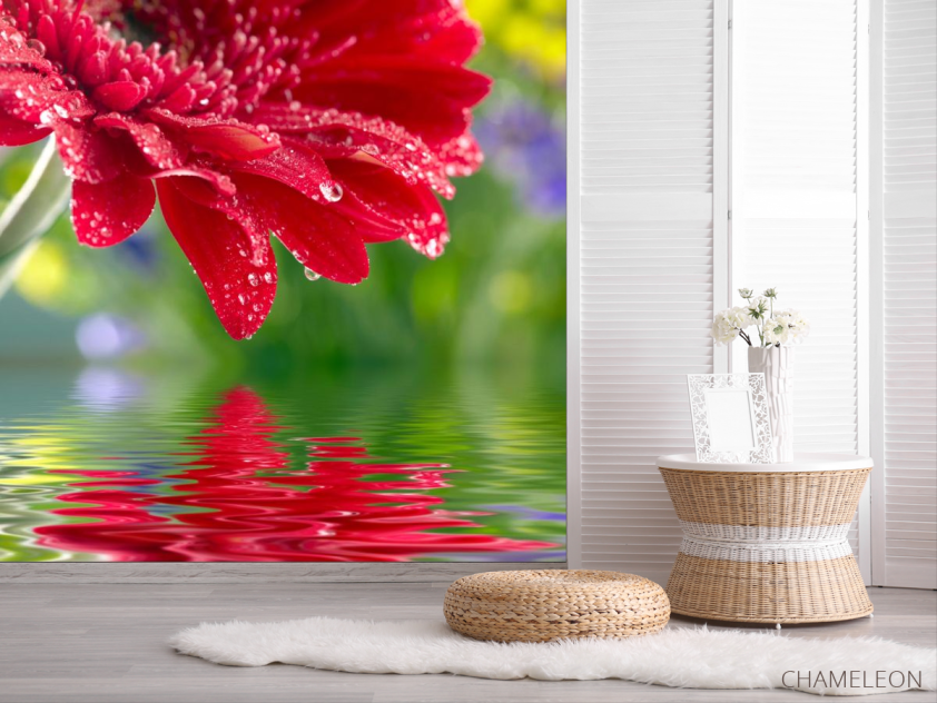 Фотошпалери червоний квітка над водою - 2