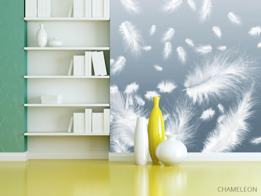 Фотошпалери білі пір'я на блакитному тлі - 3