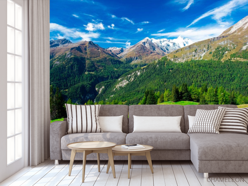 Фотообои Горы, ёли, небо - 3