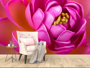 Фотообои Малиновый пион - 4
