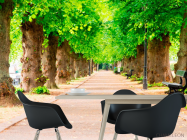 Фотошпалери Тунель з дерев - 1