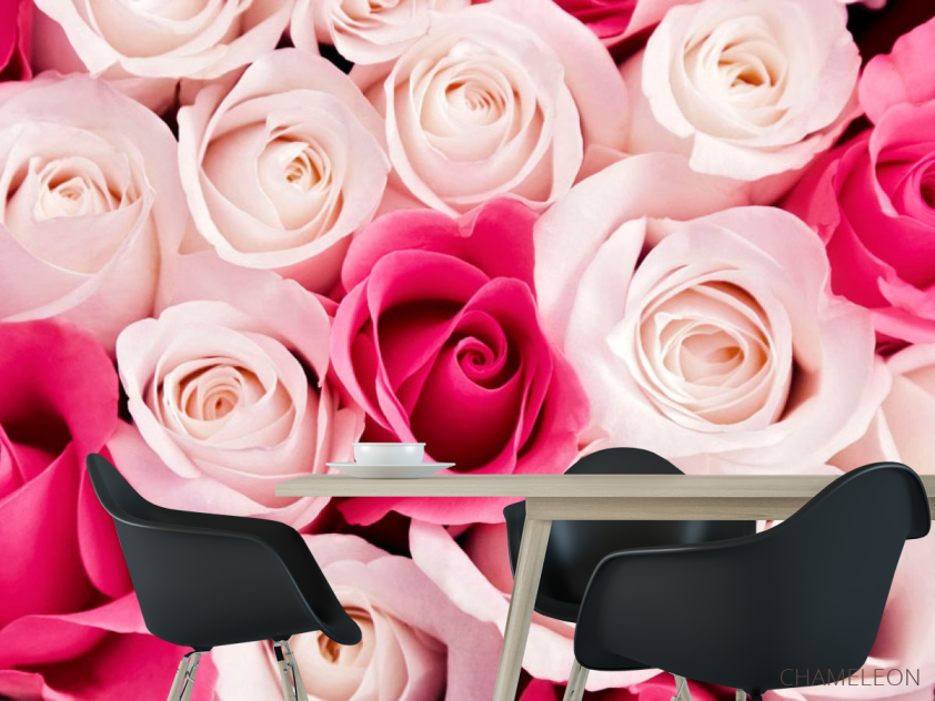 Фотошпалери Рожеві бутони троянд - 1