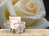 Фотообои белая роза с каплями - 4