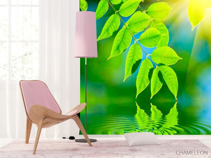 Фотошпалери Зелень над водою - 4