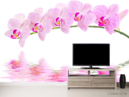 Фотообои Отражение орхидей - 2