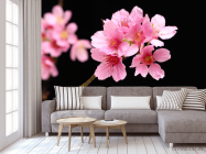 Фотообои Розовые персиковые цветы - 3