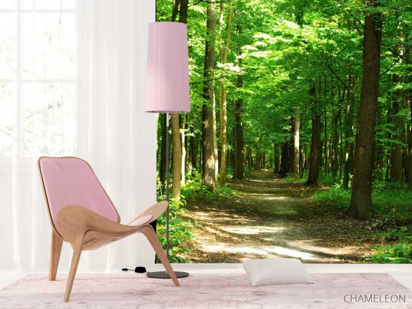 Фотошпалери зелений ліс - 4