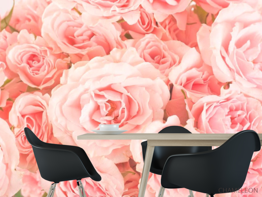Фотошпалери Троянди ніжно-рожеві - 1