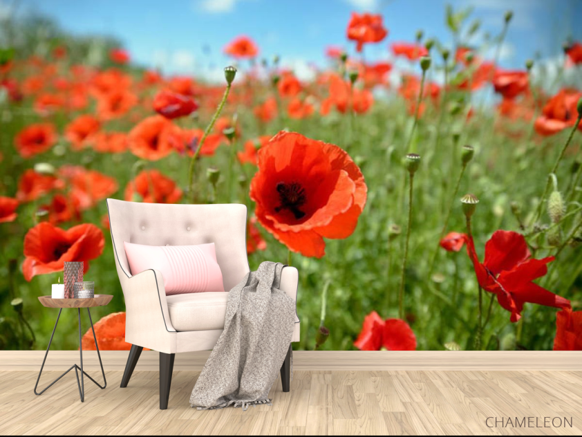 Фотообои маковое поле - 4