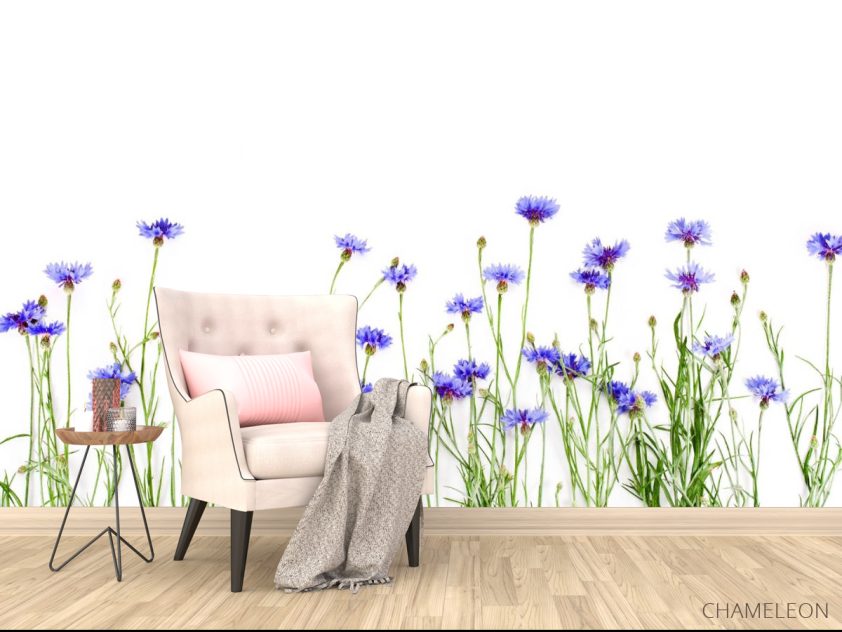 Фотообои Волошки синие - 4