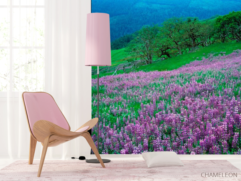 Фотошпалери Гармонія на луці - 4