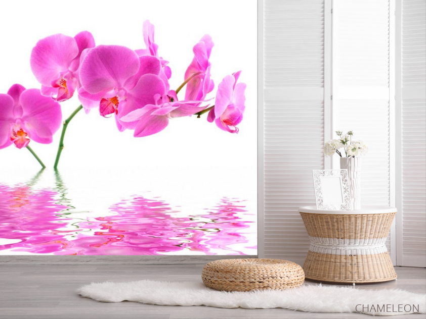 Фотообои В воде орхидеи - 2
