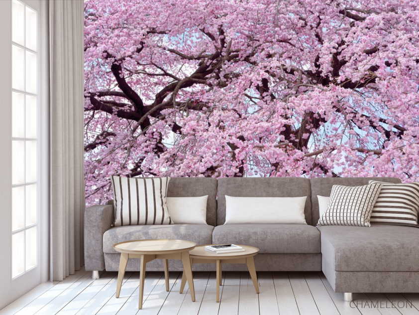 Фотообои Цветение сакуры под потолок - 3