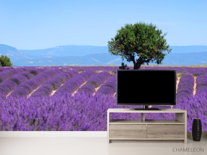 Фотообои сиреневое поле - 2