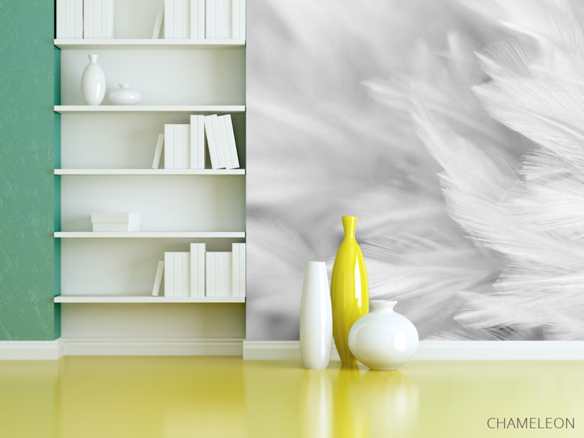 Фотошпалери білі пір'я - 3