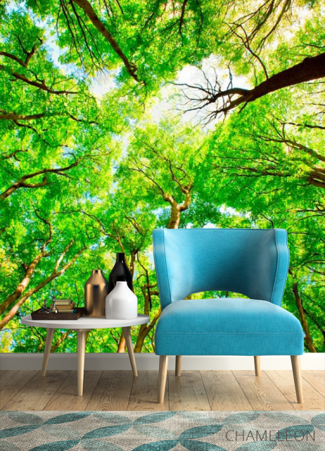 Фотообои Тонкие деревья - 4