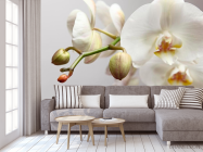 Фотообои Орхидея белоснежная - 3