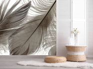 Фотошпалери Коричневі пір'я - 2