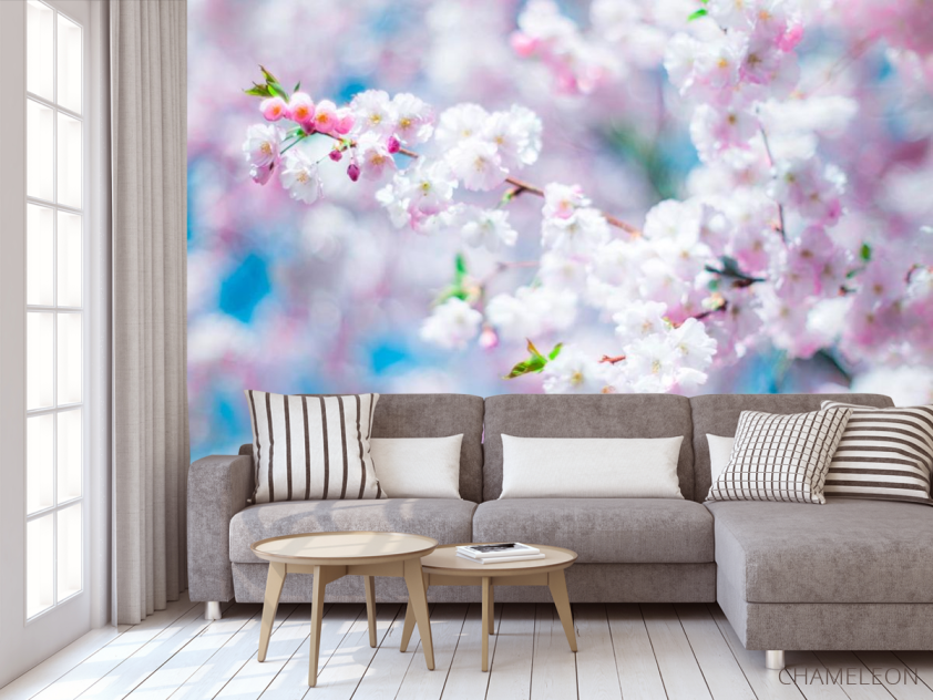 Фотообои Белые пушинки цветов - 3