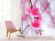 Фотошпалери Квітуча навесні рожевим дерево - 4