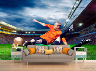 Фотообои Футбольная игра - 1