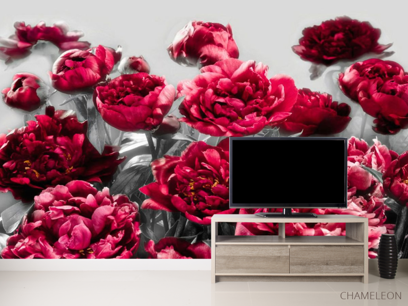 Фотообои Бордовые пионы - 2