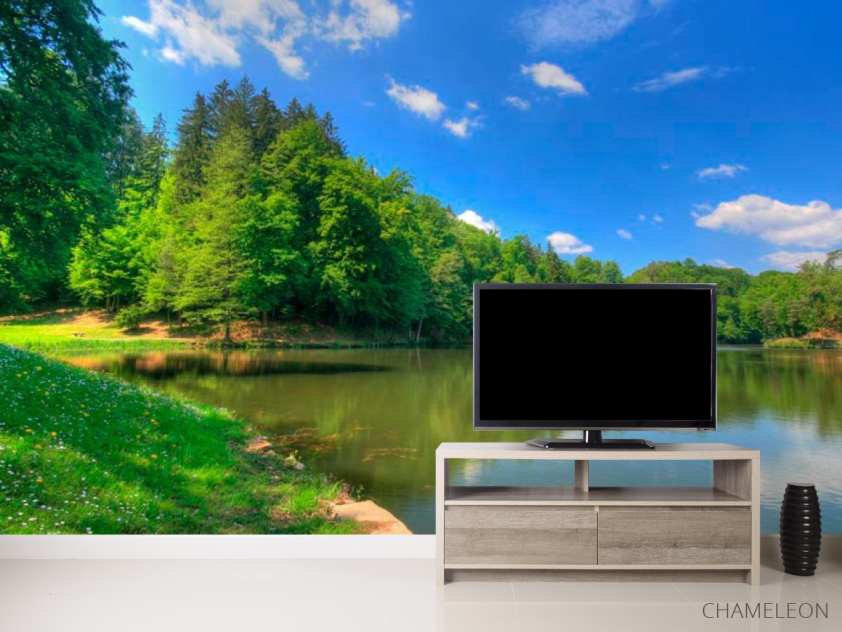 Фотообои Тихий лес - 2