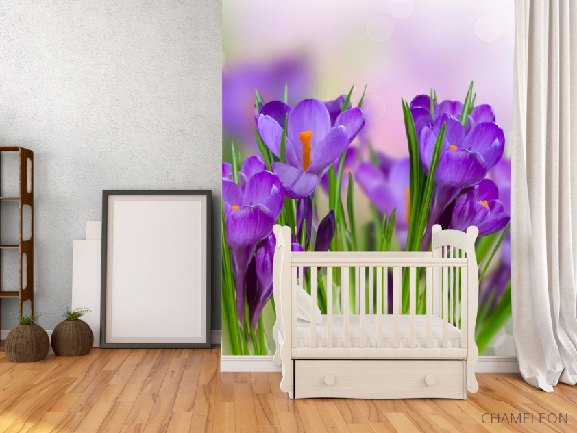 Фотообои фиолетовые цветы в траве - 2