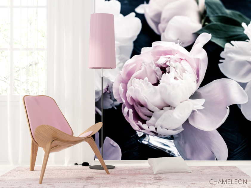 Фотошпалери півонії на темному - 4