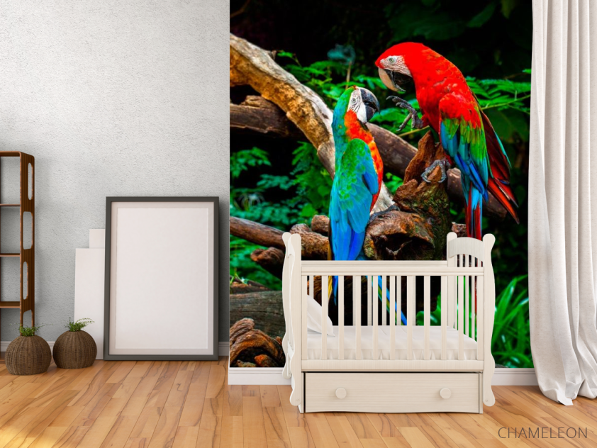 Фотообои Попугаи - 2