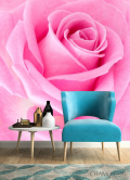 Фотообои Макро-съемка розовой розы - 4
