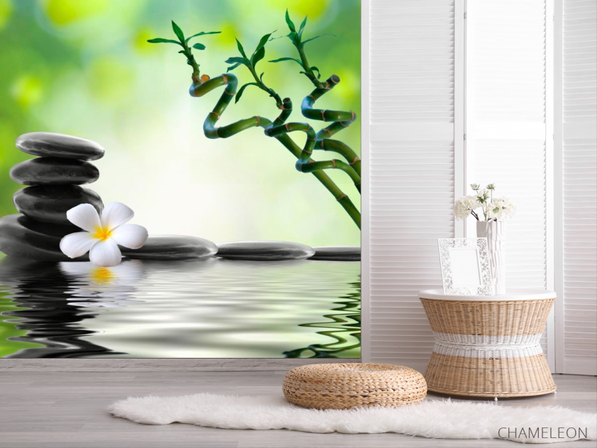 Фотошпалери Гілочки, камені, квітка - 2