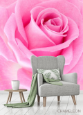 Фотообои Макро-съемка розовой розы - 3