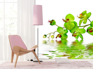 Фотошпалери Зелені орхідеї - 4