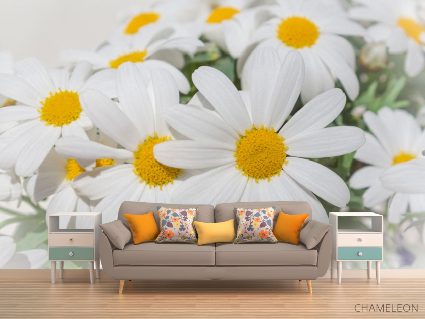 Фотообои Белые ромашки - 1