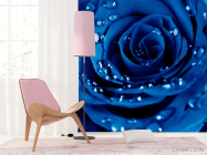 Фотошпалери Роза яскраво-синя - 4