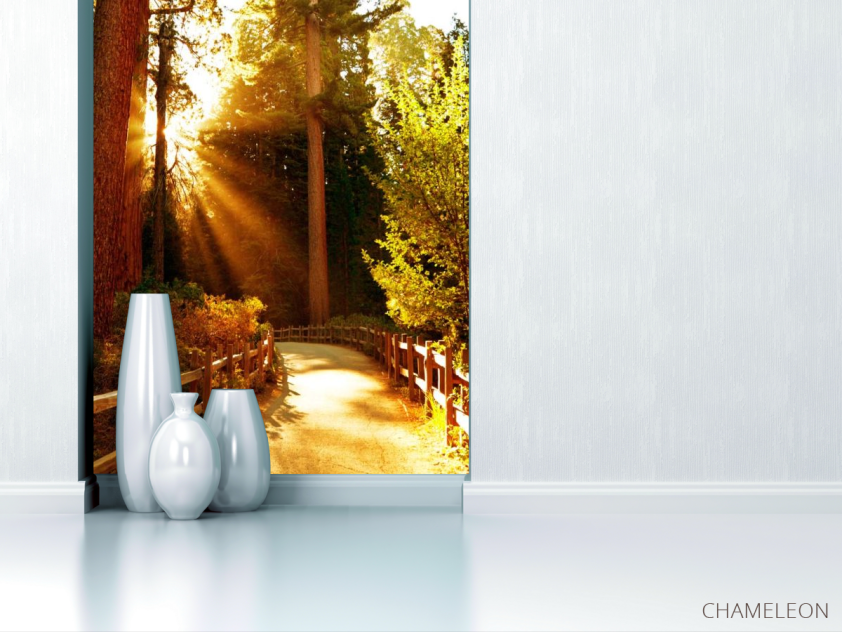 Фотообои Проход в лес - 1