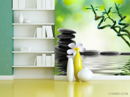 Фотошпалери Гілочки, камені, квітка - 3