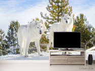 Фотообои два белых волка на снегу - 2